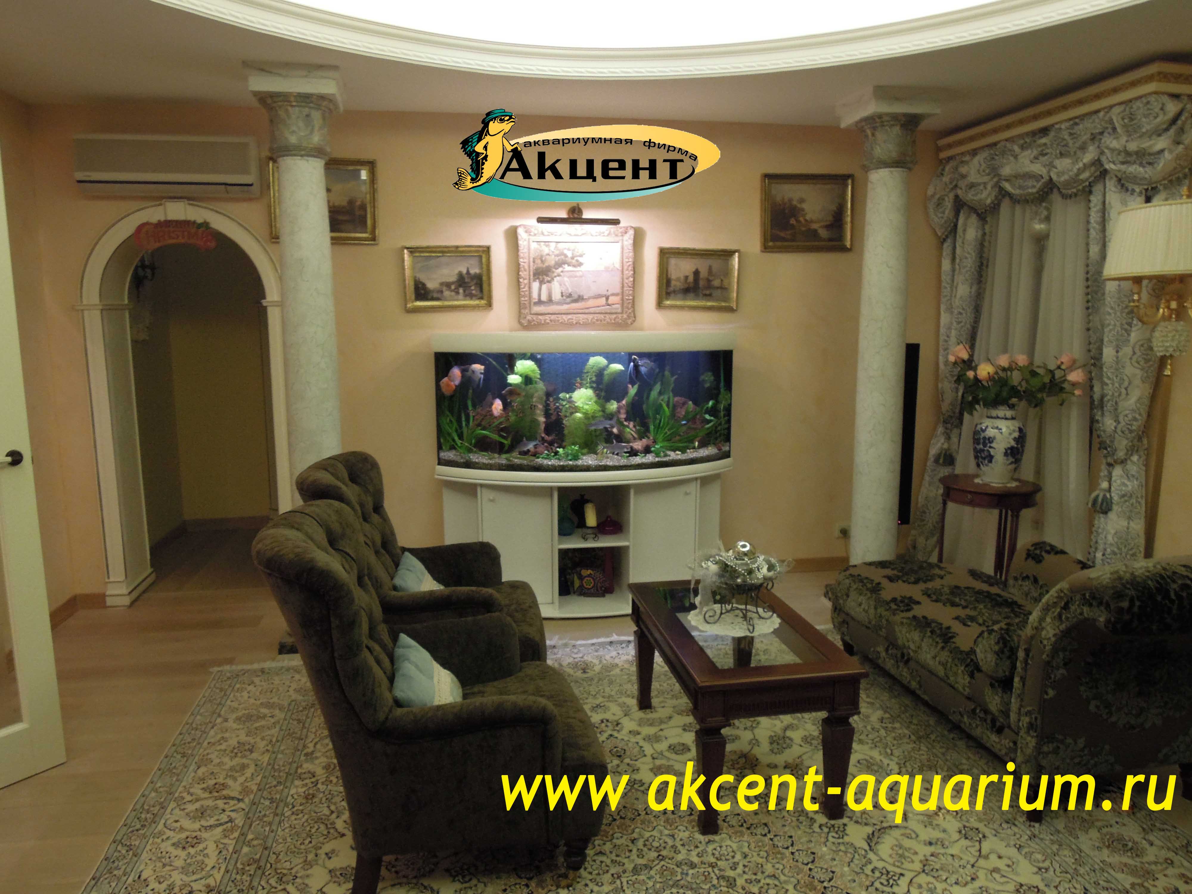 Акцент-Аквариум, аквариум 350 литров с гнутым передним стеклом